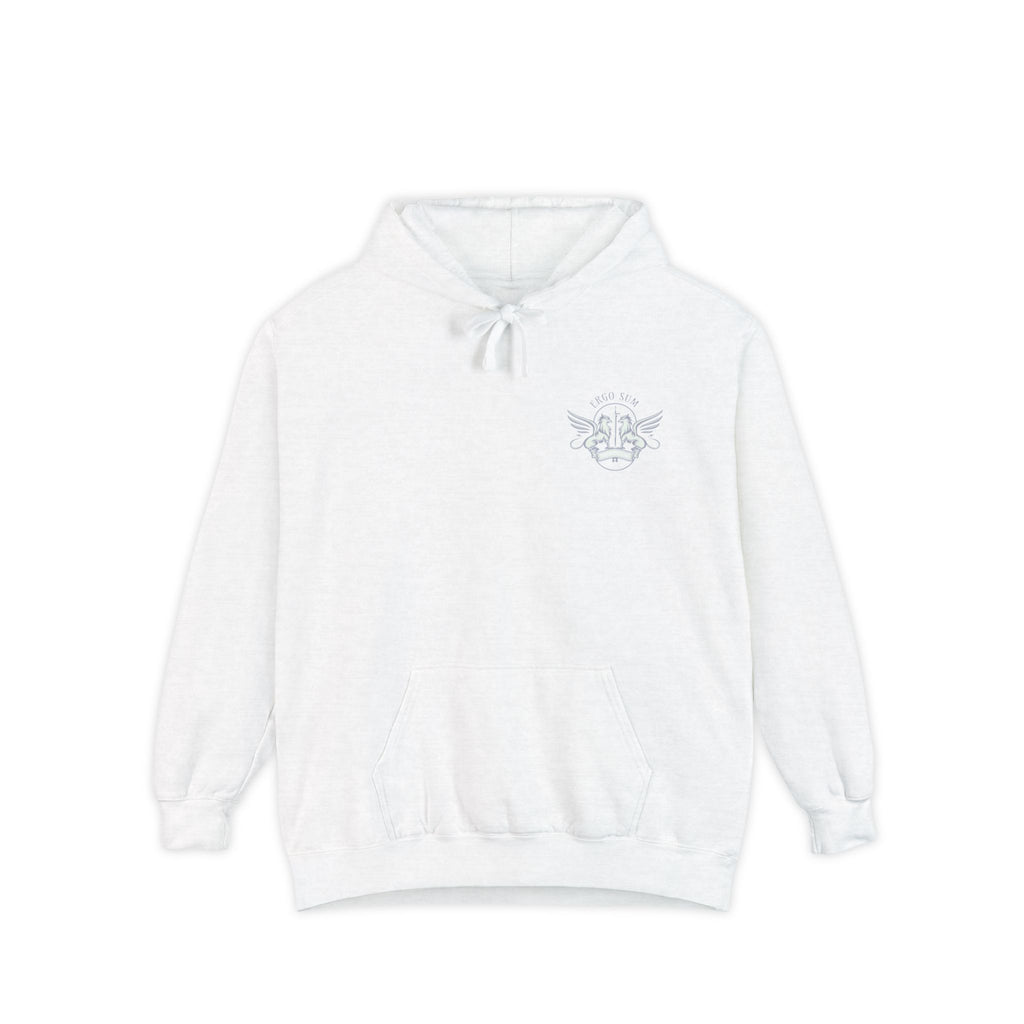Renaissance Ergo Sum Hoodie