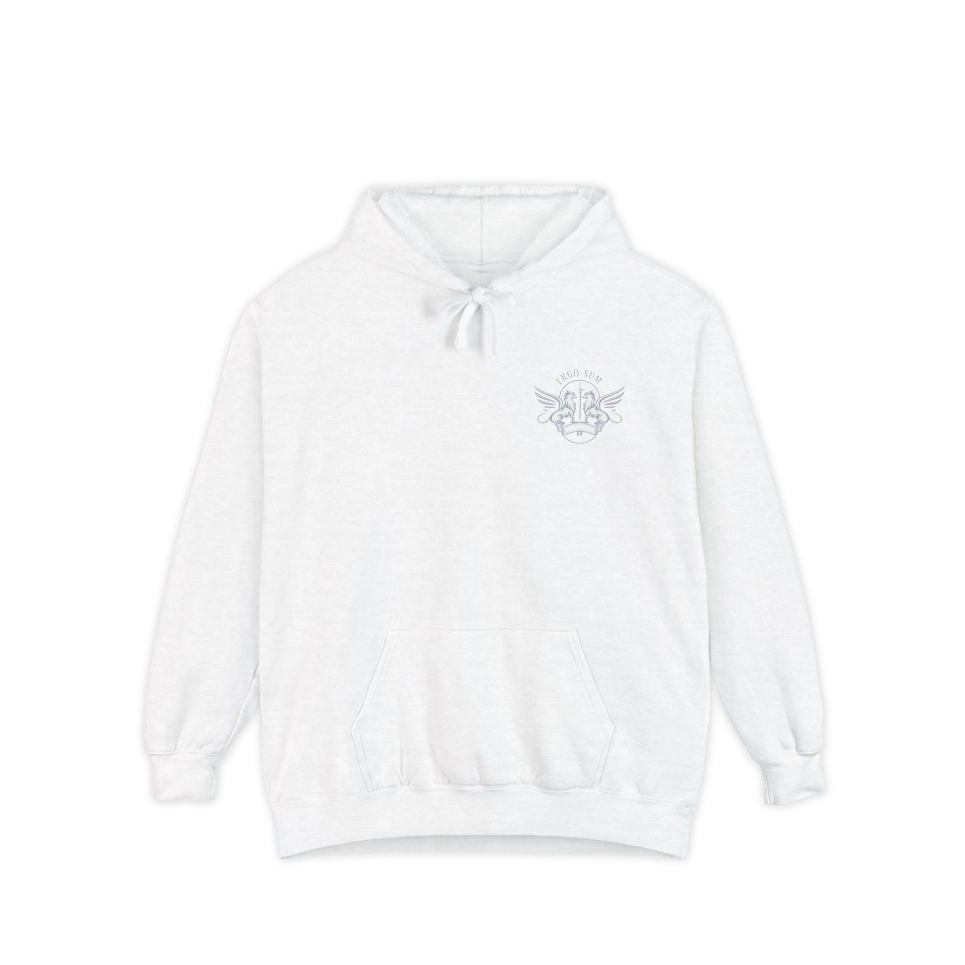 Renaissance Ergo Sum Hoodie